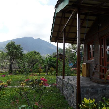 Finca Montana Sagrada Mérida Rom bilde