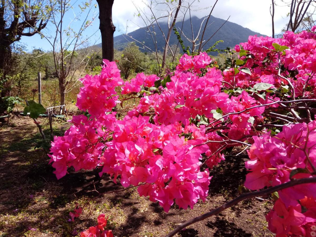 Finca Montana Sagrada Mérida Eksteriør bilde